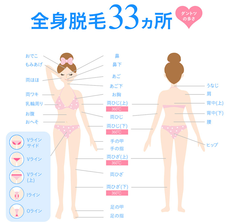 �L���C���͑S�g�R�R�ӏ��̒E�т��ł���I